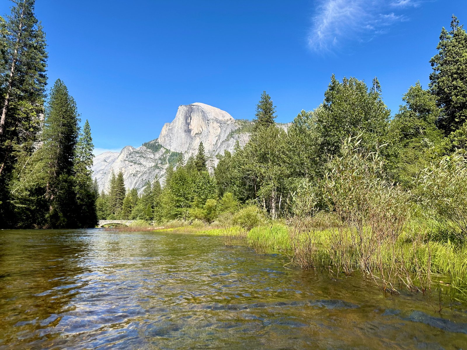 Picture of Yosemite's Half Dome standing over the Merced River.